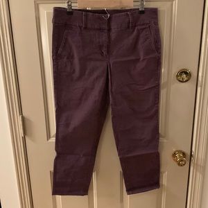 Purple size 10 LOFT Modern Chino Crop